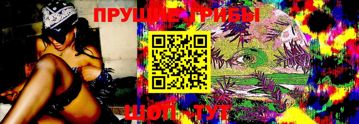 Псилоцибиновые грибы MAGIC MUSHROOMS  где купить   Йошкар-Ола  Вход с VPN 