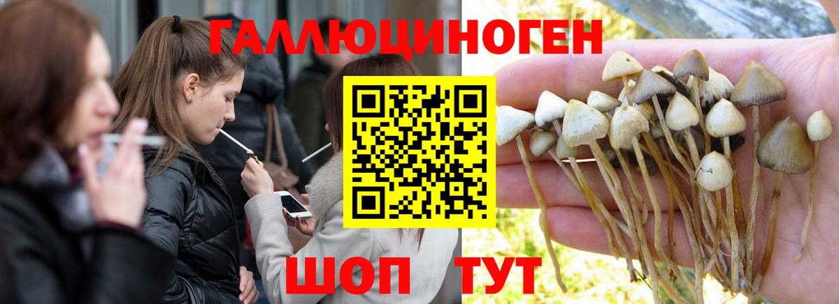  КОКАИН Йошкар-Ола